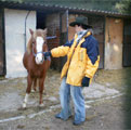 Clic para ampliar